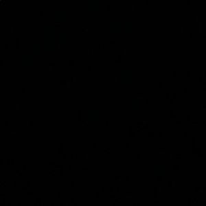 Meet your Posher, Jaden